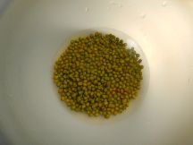 発芽豆（スプラウト）のサラダの手順画像0枚目