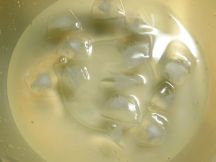 蒜蓉秋葵 （台湾風オクラのチリガーリックソース）の手順画像0枚目