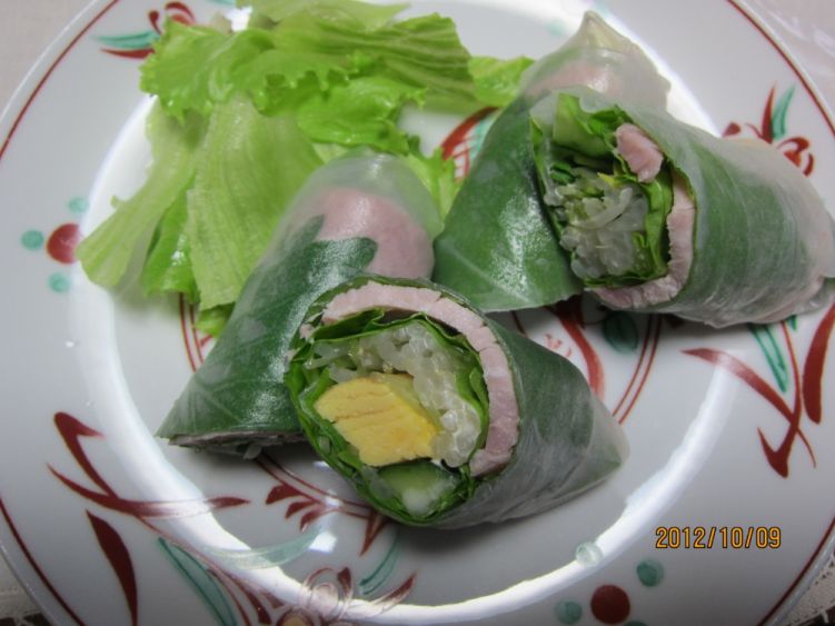 生春巻きの写真