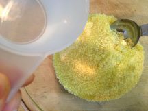 クスクス フィッシュ プレートの手順画像2枚目