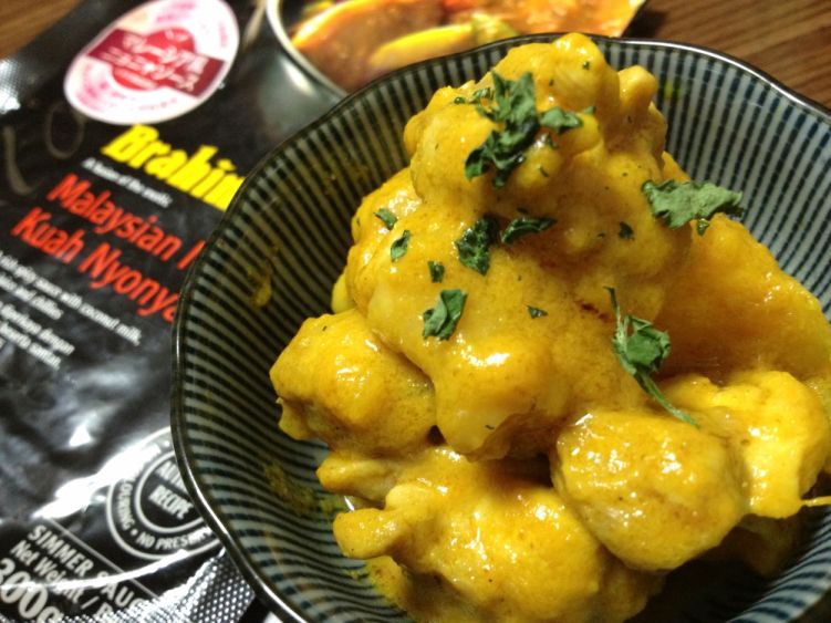 マレーシア風ニョニャカレーの写真