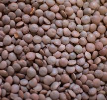 お手軽！レンズ豆のカフェ風カレーの手順画像2枚目