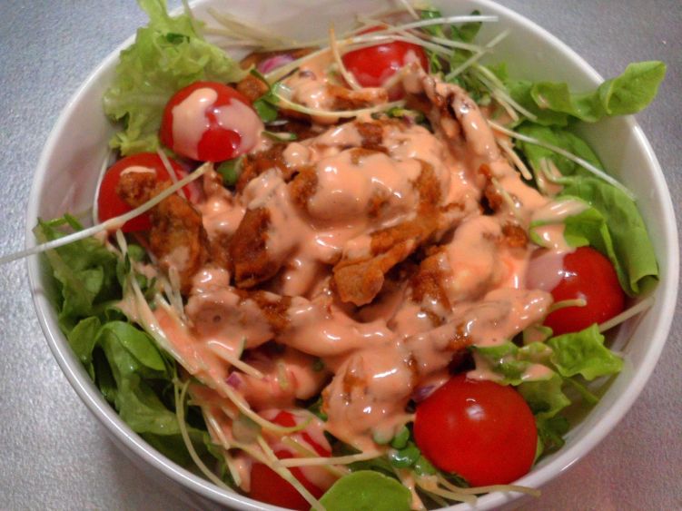 肉なしケバブ丼の写真