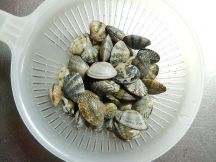 トム カー クラムの手順画像0枚目