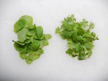 ゴイ クオン 生春巻の手順画像3枚目