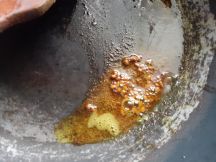 マショウラチョエラの手順画像6枚目