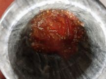 マショウラチョエラの手順画像4枚目