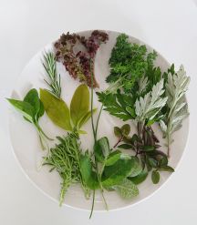 えんどう豆と野菜とハーブの玄米ご飯の手順画像0枚目