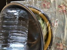 キムチの手順画像2枚目