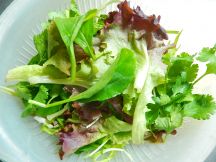 生春巻き　タイ風アレンジの手順画像2枚目