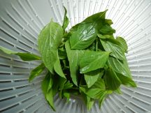 グリーンカレー（超本格）の手順画像0枚目