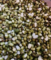 緑豆と野菜のあっさりカレー煮の手順画像0枚目