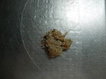 チャーゾー ベトナム風揚げ春巻の手順画像3枚目