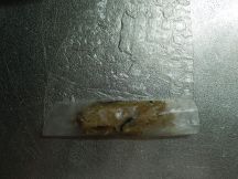 チャーゾー ベトナム風揚げ春巻の手順画像4枚目