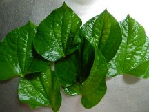 ミャンカムの手順画像7枚目