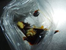 ペーパーチキンの手順画像1枚目