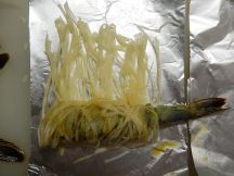 エビのカダイフ巻きの手順画像6枚目