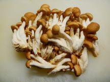 お手軽トムヤムクン(トムヤム・セット使用)の手順画像1枚目